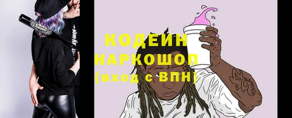 хмурый Алзамай