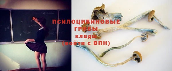 хмурый Алзамай