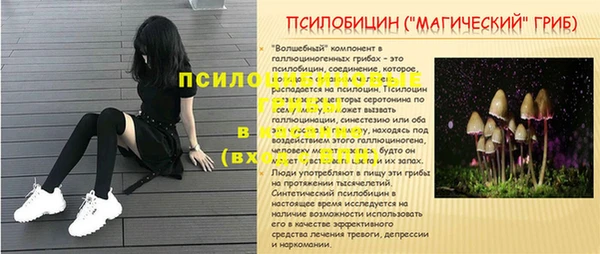 хмурый Алзамай