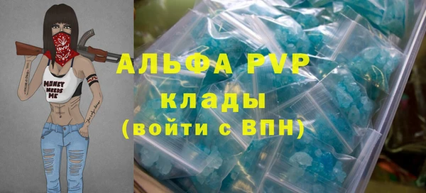 хмурый Алзамай