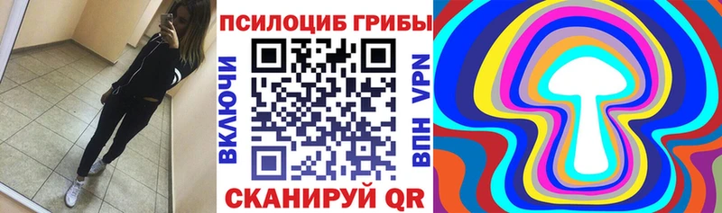 Псилоцибиновые грибы прущие грибы  купить наркоту  Ейск 